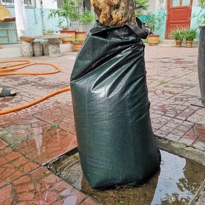 20 litres de sac d'arrosage en PE vert foncé en PVC pour une irrigation efficace